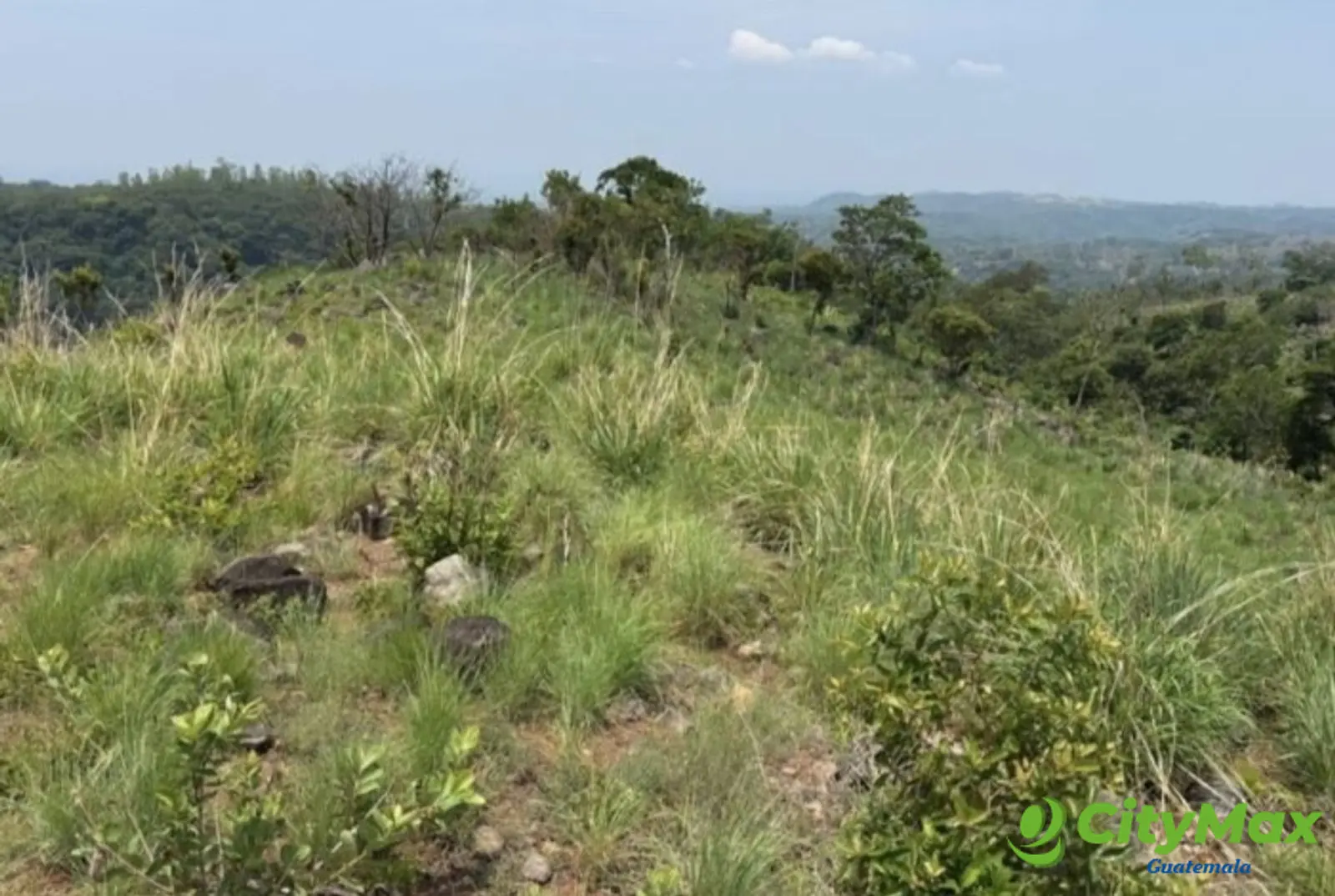 Terreno en venta de 29,818 M2 en Taxisco - foto 1