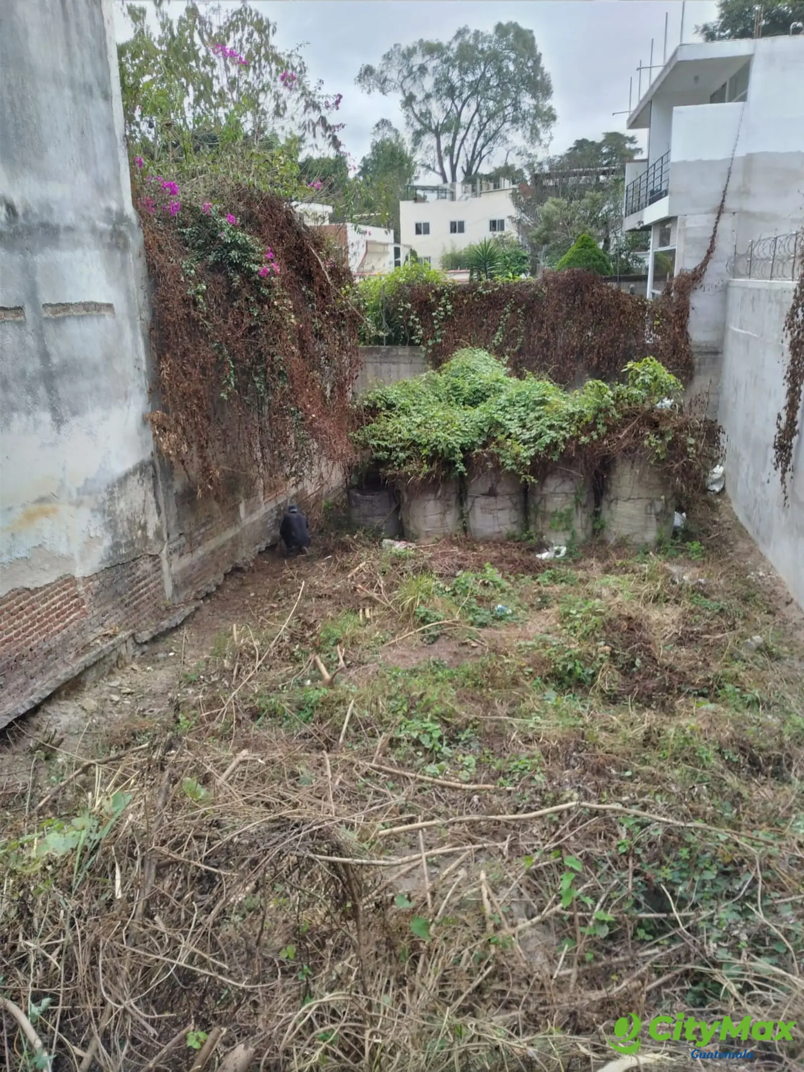 Terreno en Renta Ideal para uso Comercial en zona 2 - foto 1