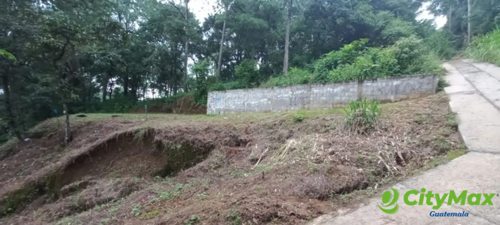 Terreno en venta en el Encinal Tronco 2  - foto 1