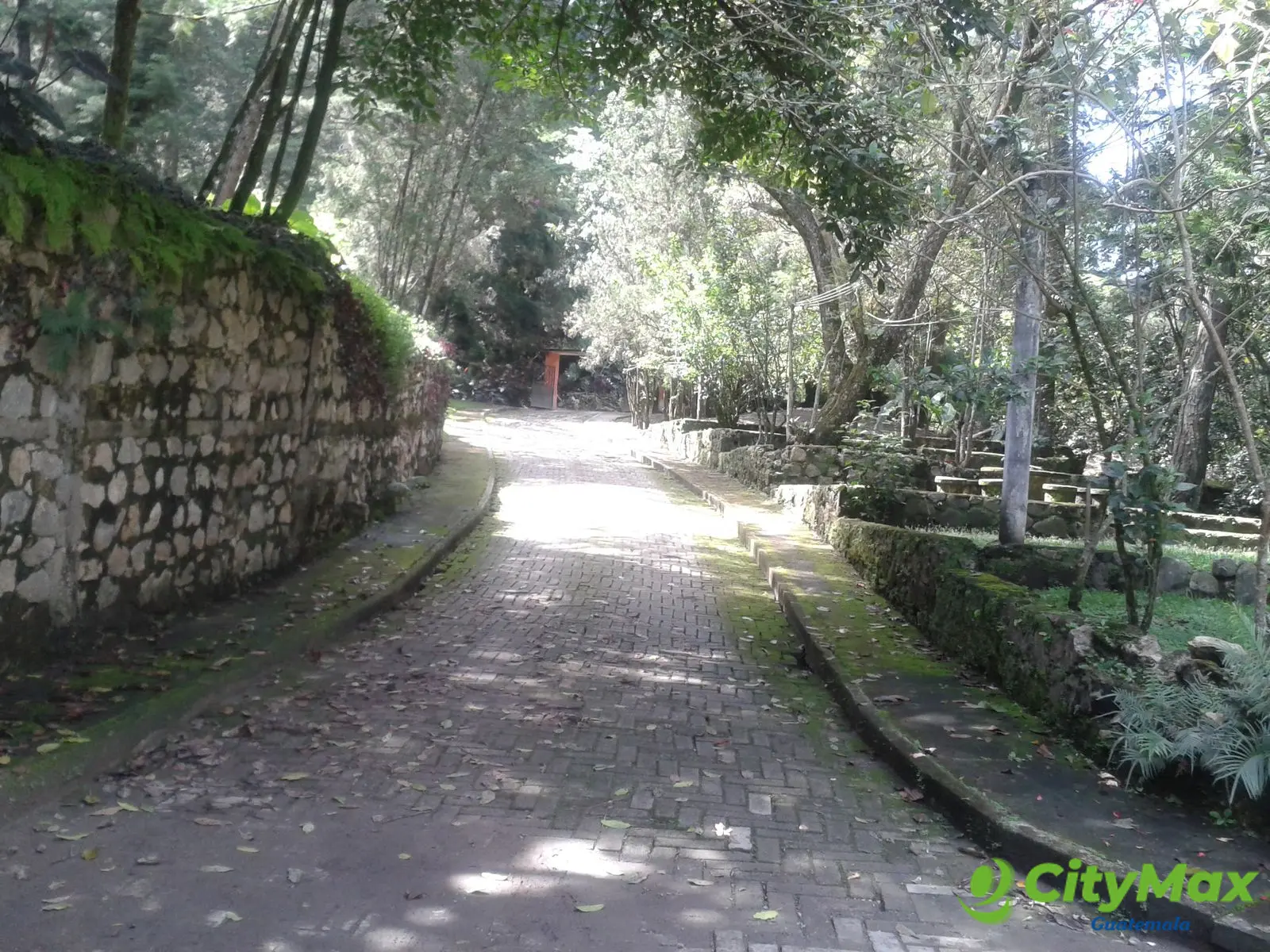 En venta terreno en zona 15 Colonia Trinidad - foto 1
