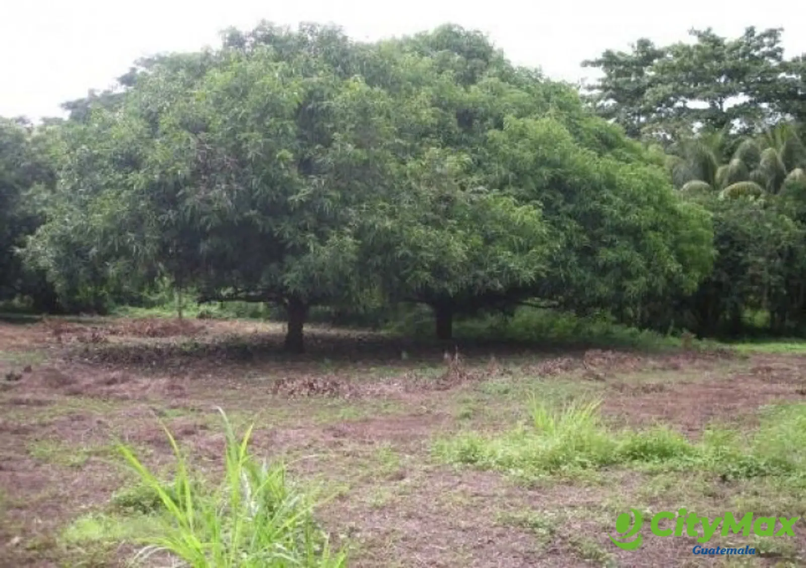 Finca en Venta en Guanagazapa Escuintla - foto 1
