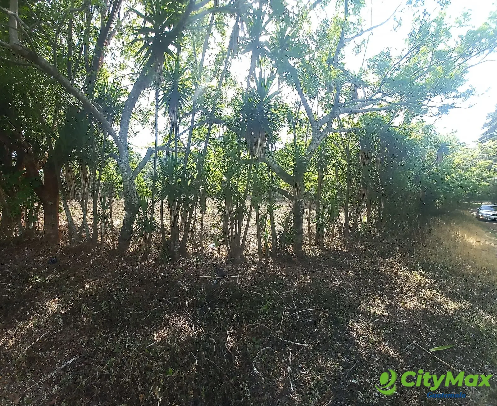 Terreno en venta Granjas Valle de Montebello/vas - foto 1