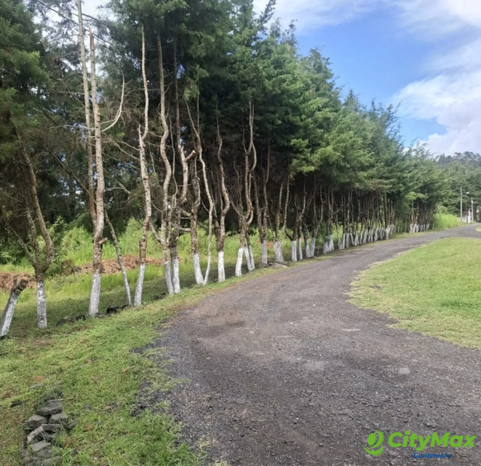 Terreno comercial renta 4586Vrs Carretera el Salvador - foto 1