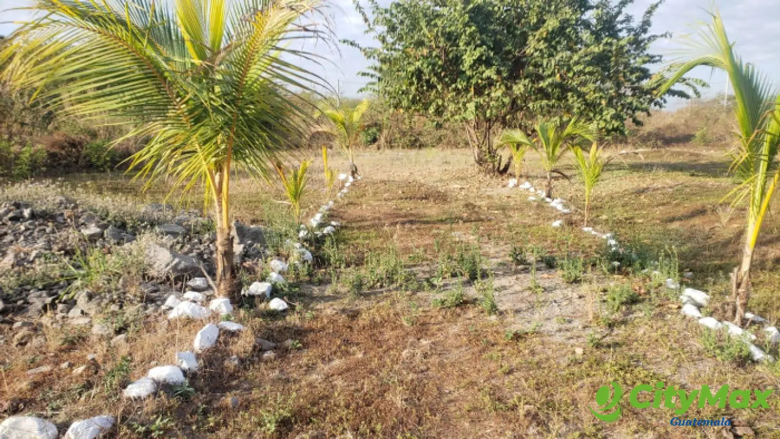 Quintas la Ponderosa lote en venta km 77 Escuintla - foto 1