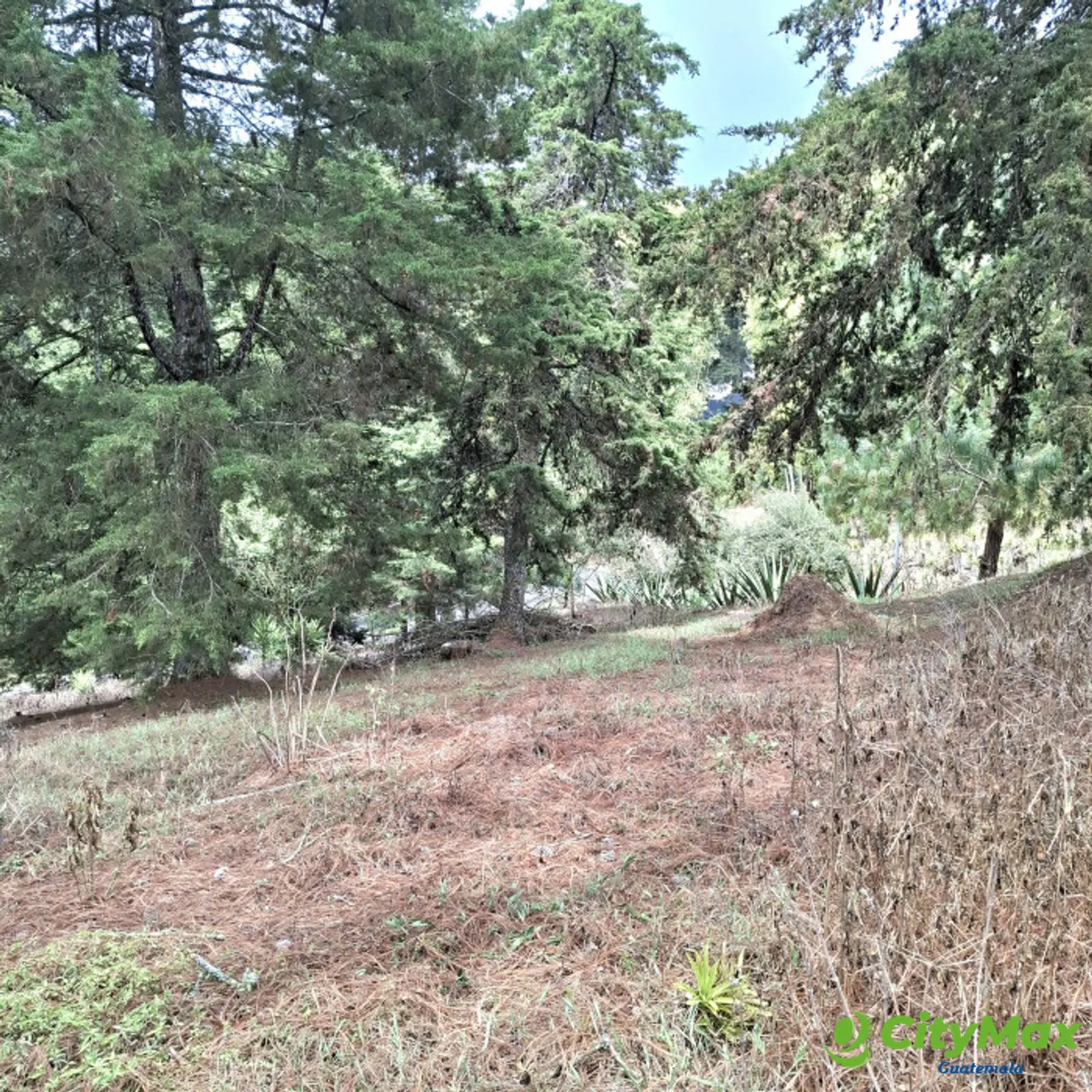 En Venta Terreno en Villa Ecuestre El Pulté Guatemala - foto 1