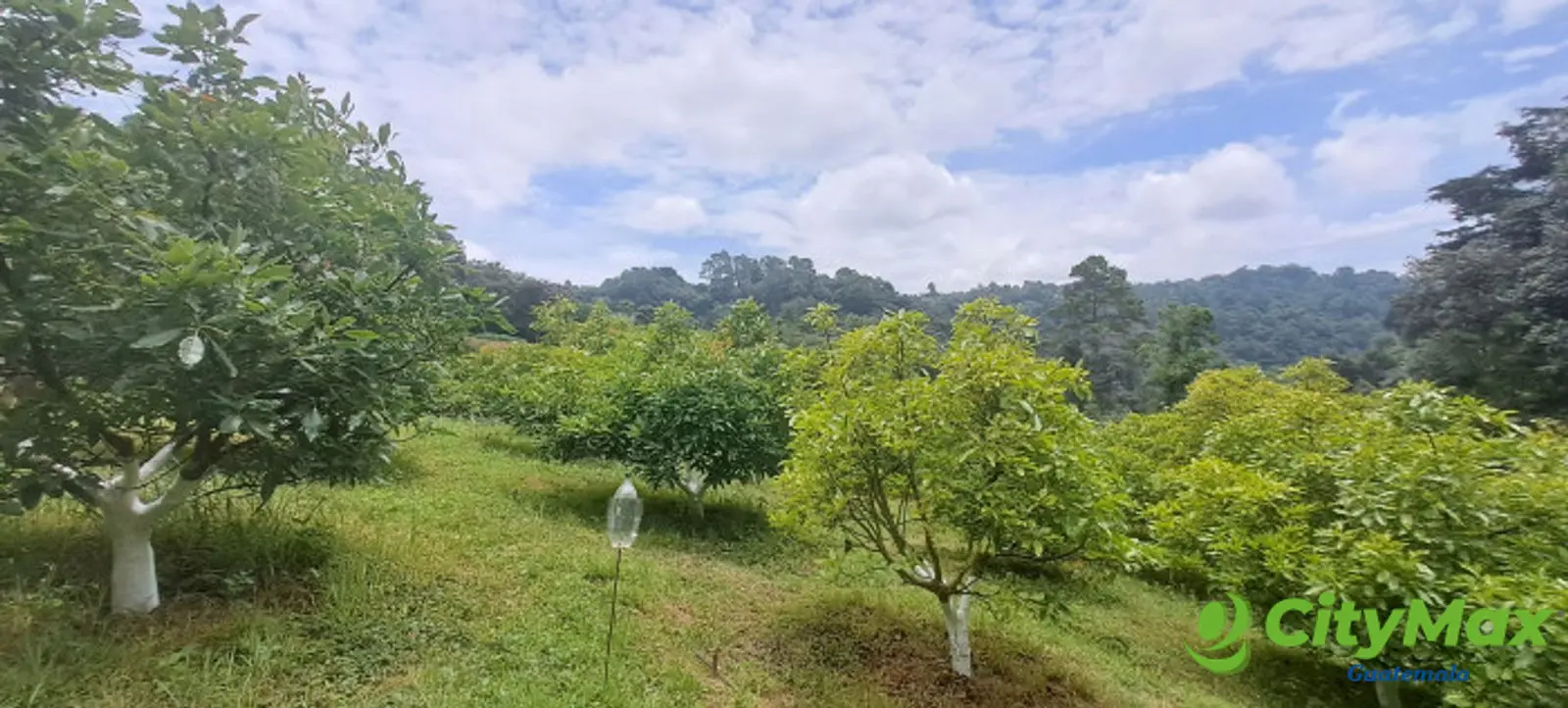 Terreno 1 manzana en venta en Santiago Sacatepequez - foto 1