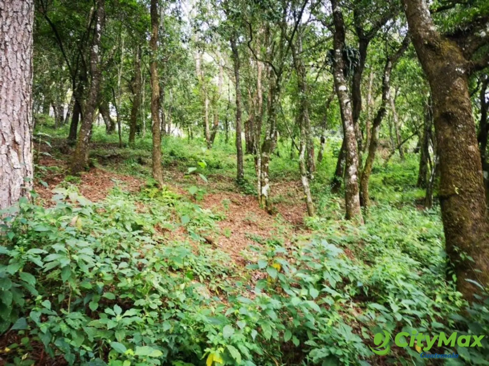 Terreno en Venta El Encinal Mixco - foto 1