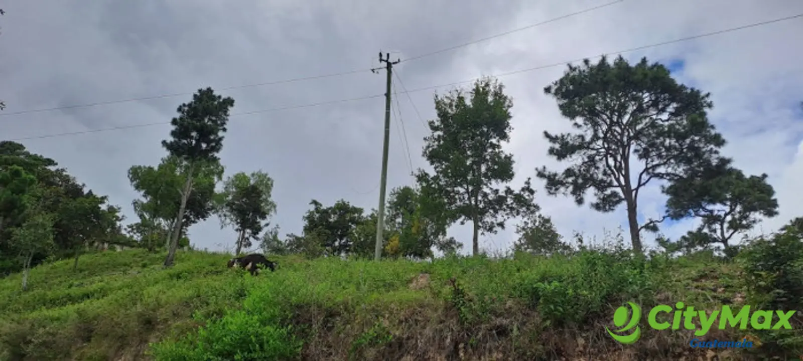 Terreno en venta en San Antonio la Paz el Progreso - foto 1