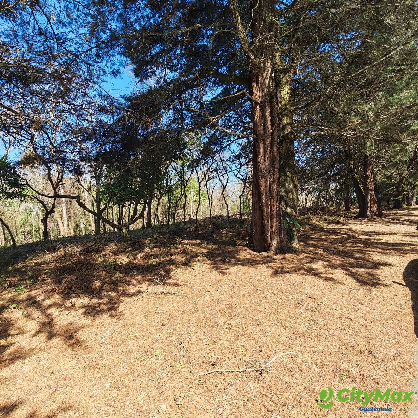 Terreno en Casa & Campo en Venta - foto 1