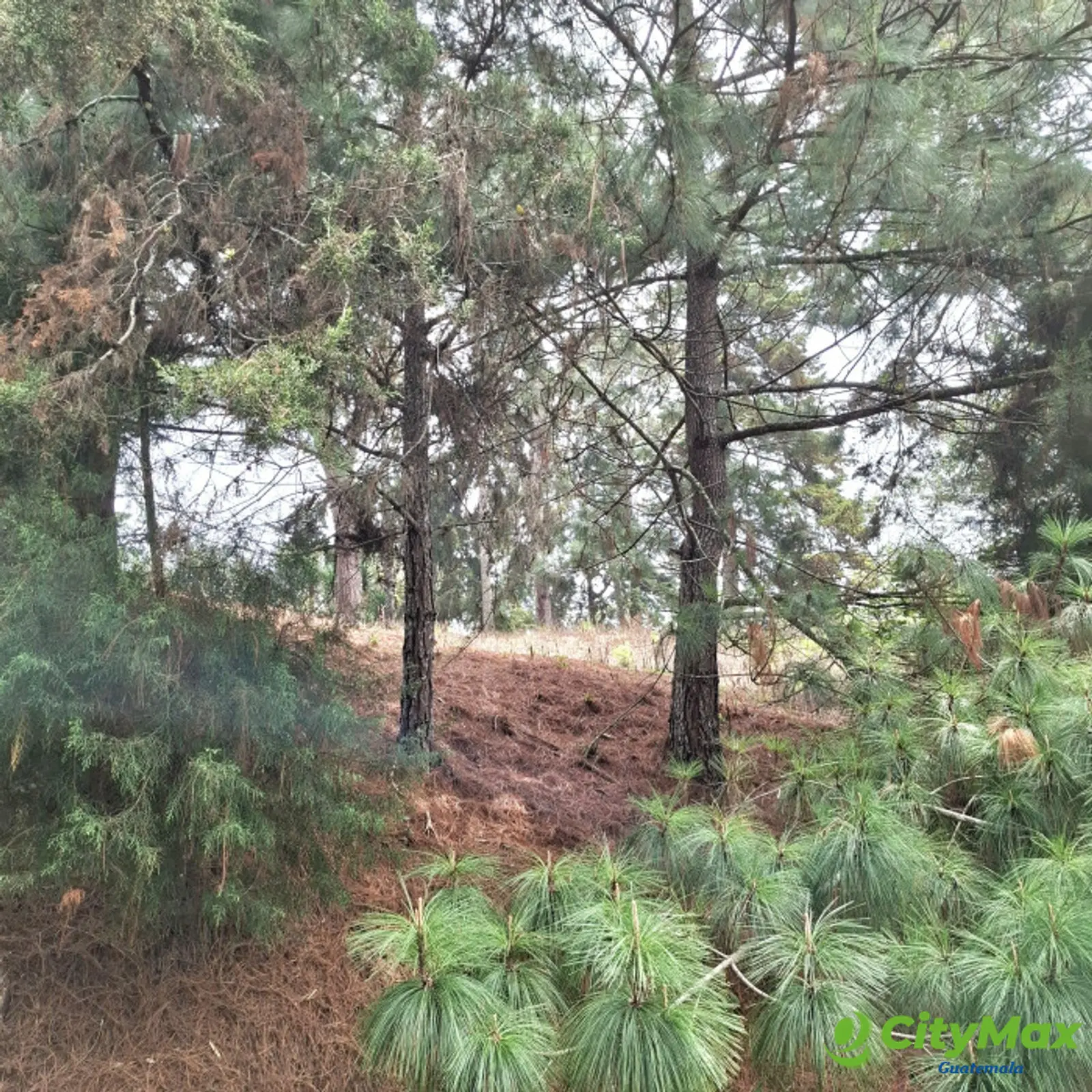 Terreno en Venta en Villa Ecuestre El Pulté Guatemala - foto 1