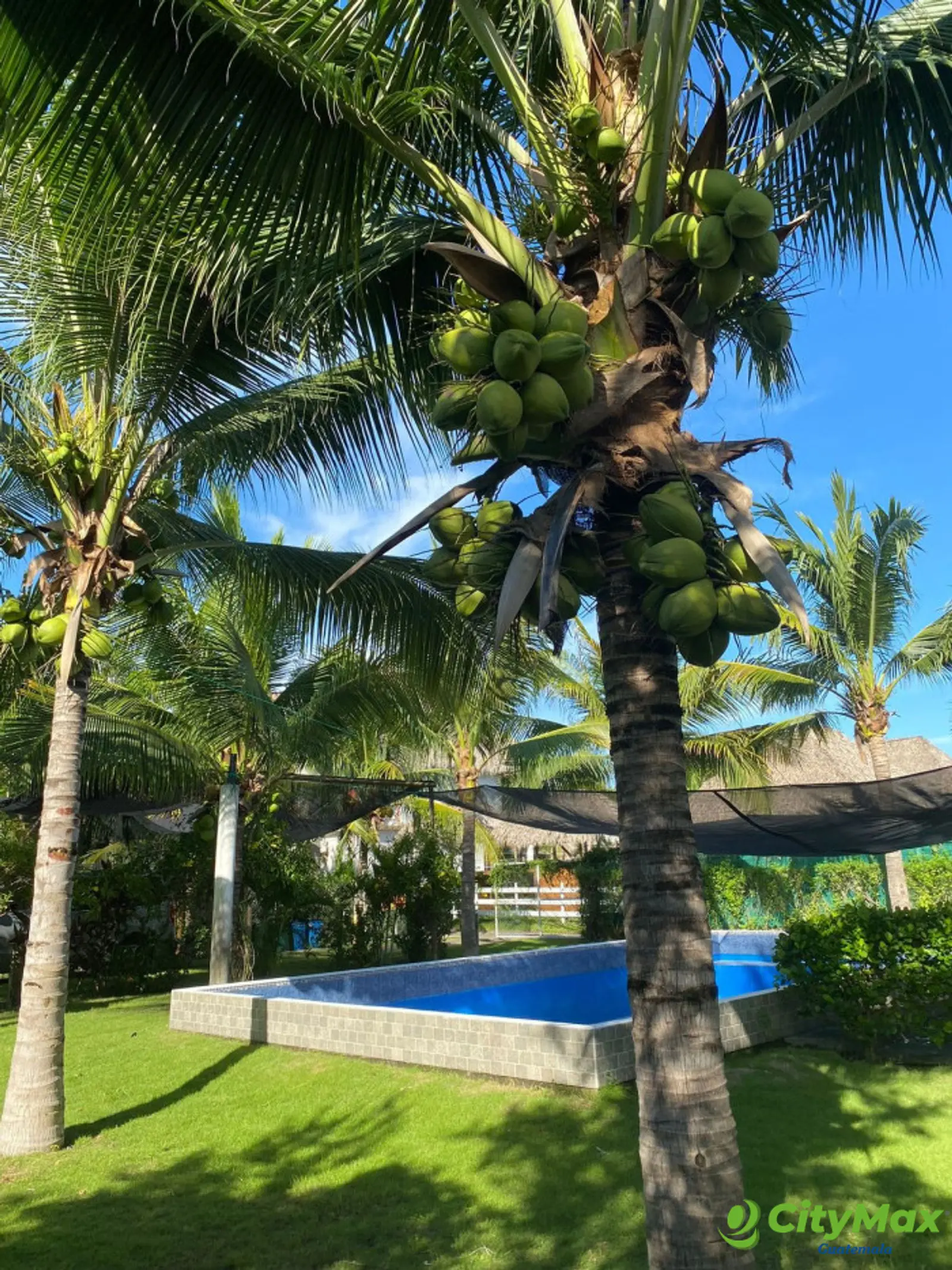 Casa En Venta en Monterrico EL PUMPO - foto 1
