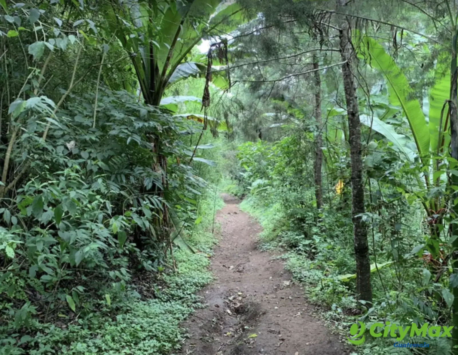 Terreno en venta Carretera El Salvador Villa Canales - foto 5