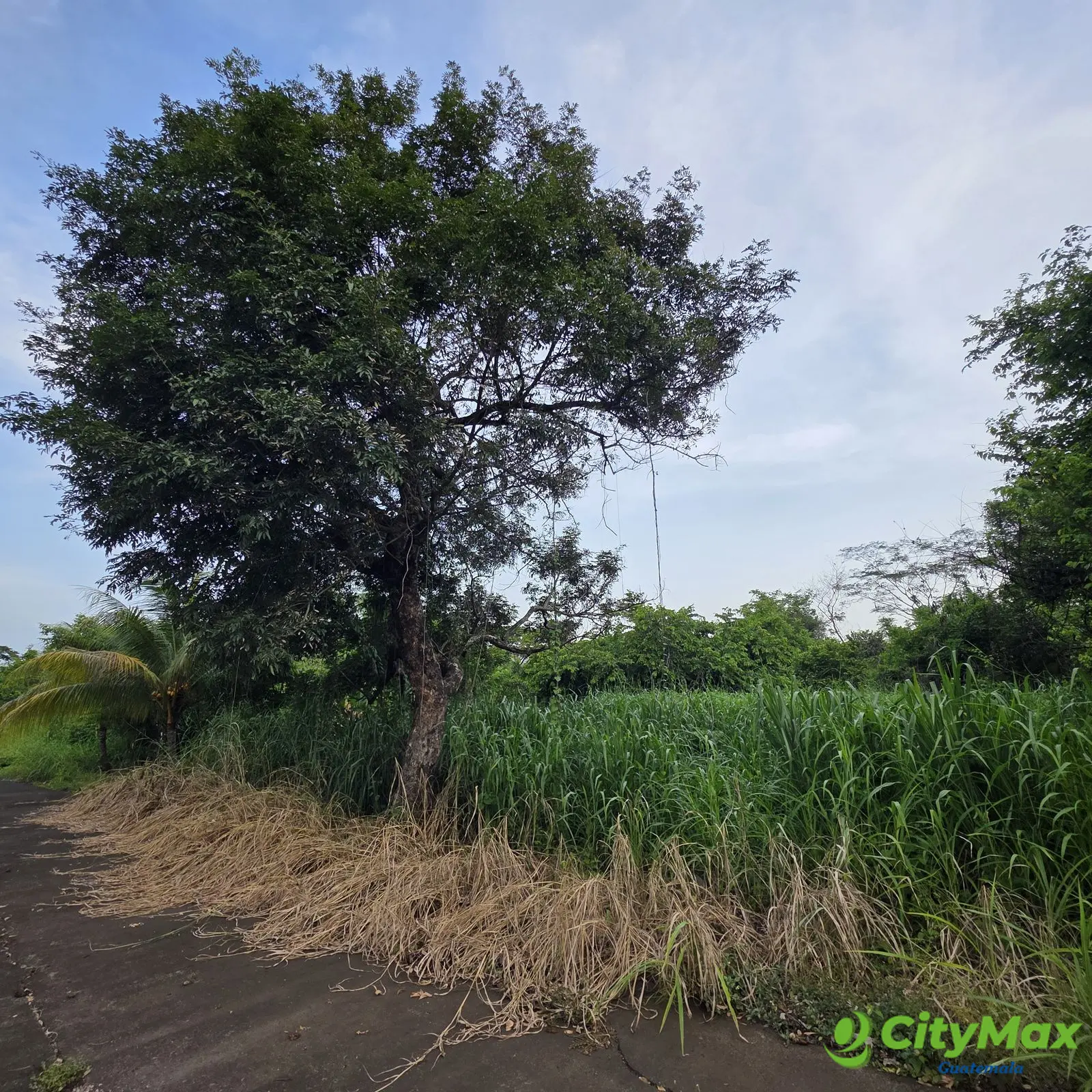 Terreno en venta en Cataratas Uxmel Puerto de San José - foto 2