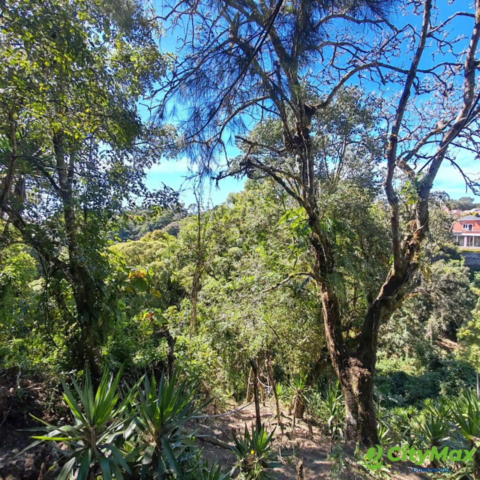Finca en Venta de 9 manzanas en Fraijanes Guatemala - foto 16