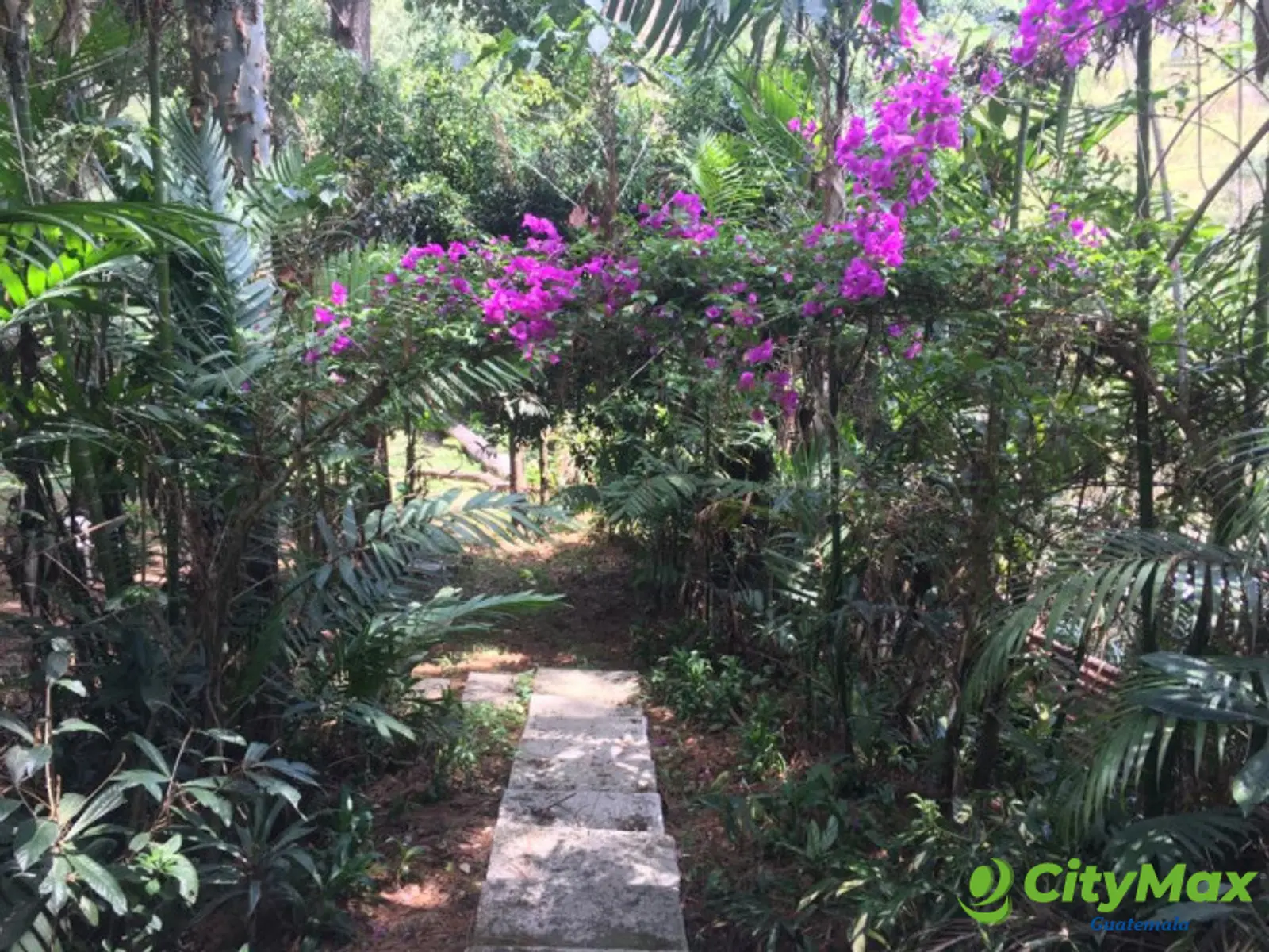 Terreno en venta Colonia trinidad zona 15 Guatemala - foto 3
