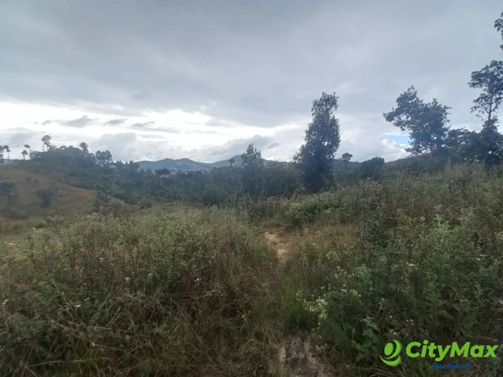 Terreno Comercial área San Pedro Ayampuc - foto 12