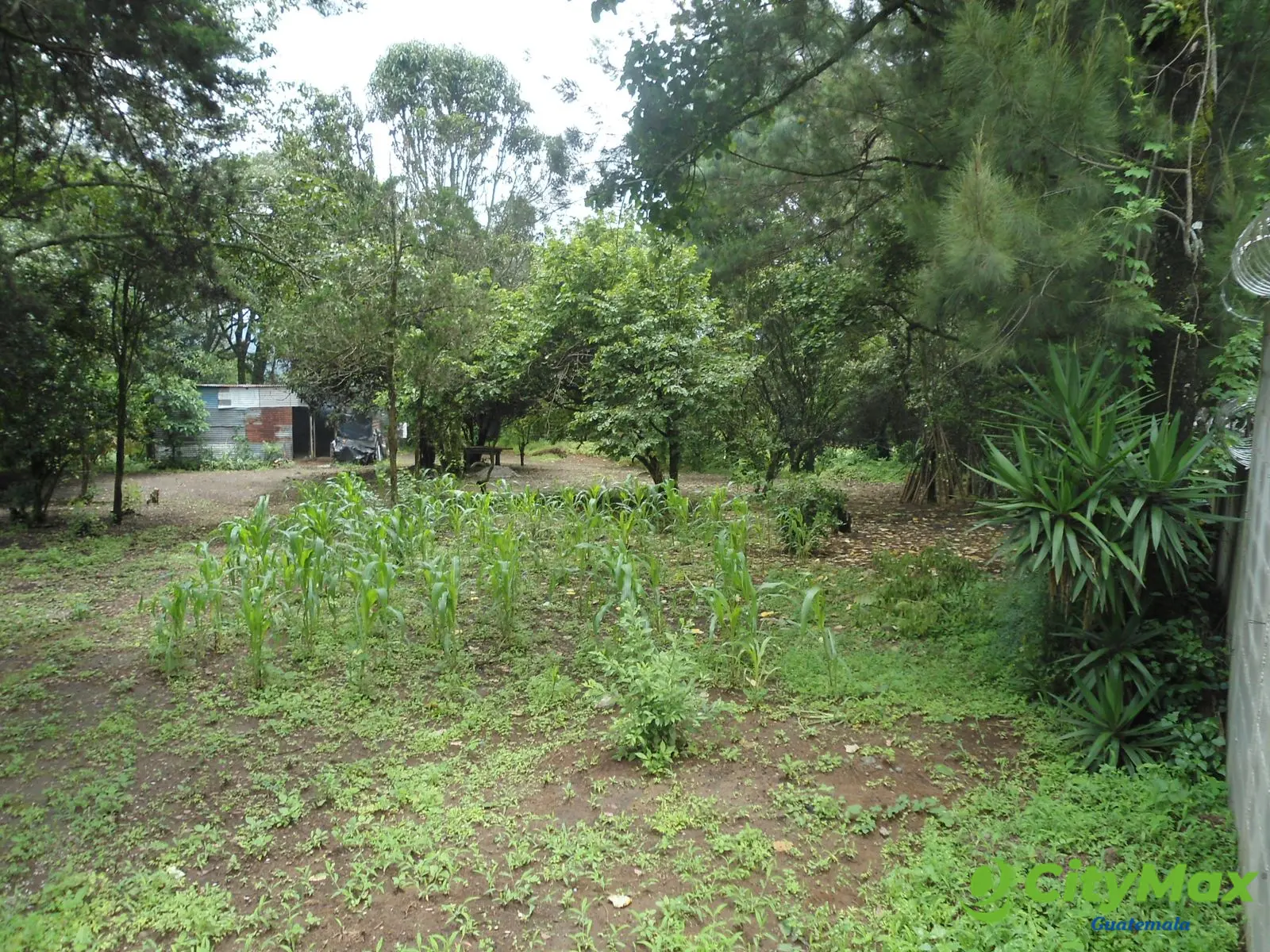 Se renta terreno de 2 manzanas Carretera al Salvador - foto 2