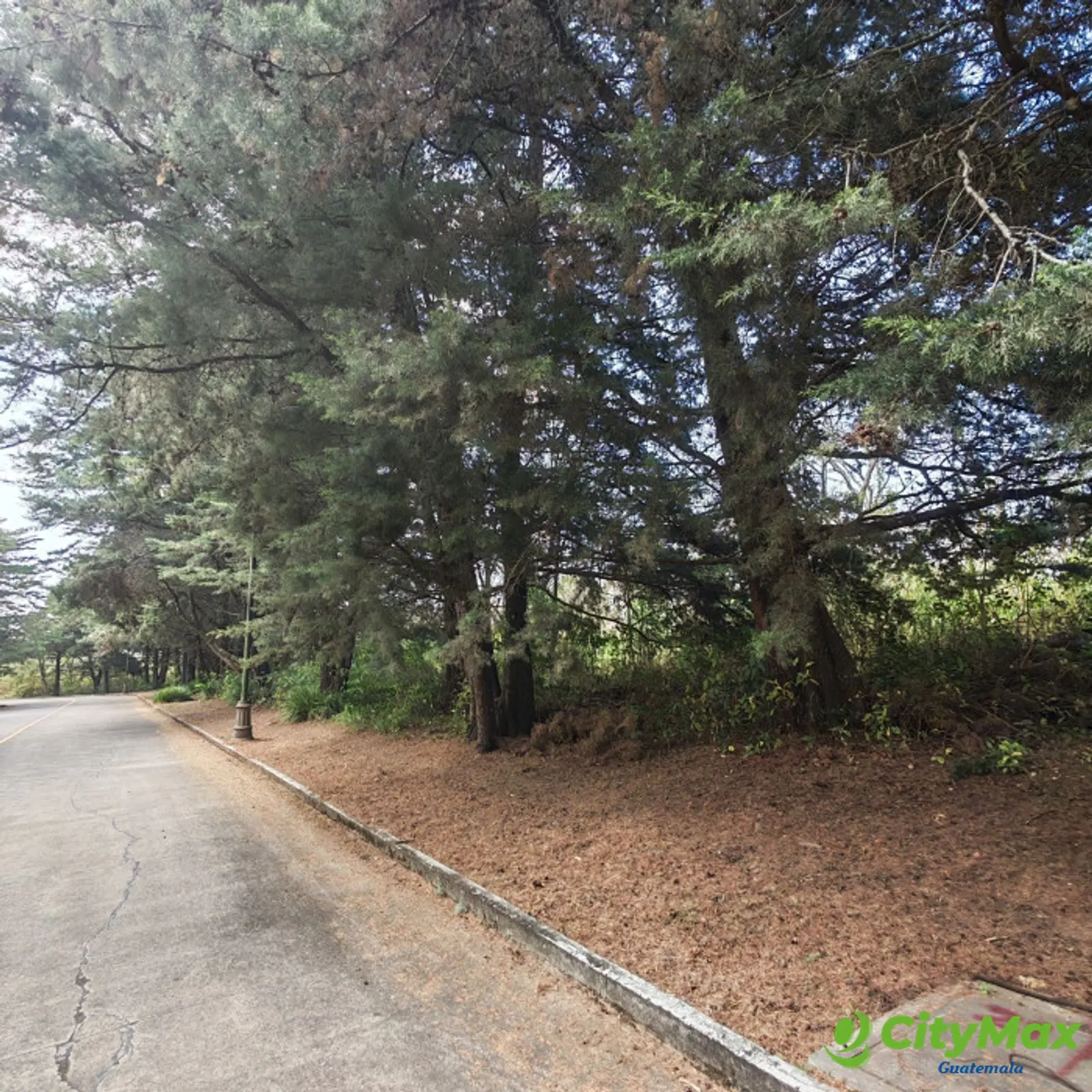 en venta en Casa & Campo Terreno plano - foto 4