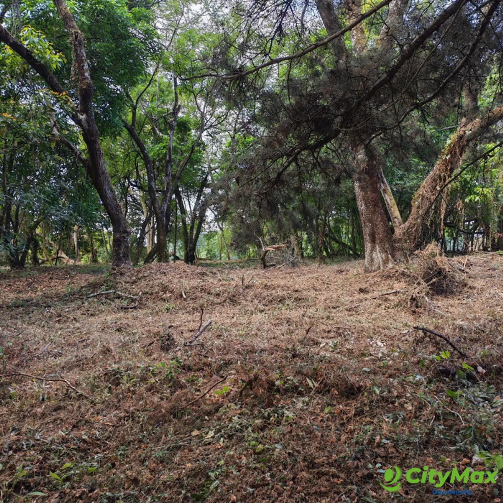 En Venta Terreno en Casa & Campo Guatemala - foto 4