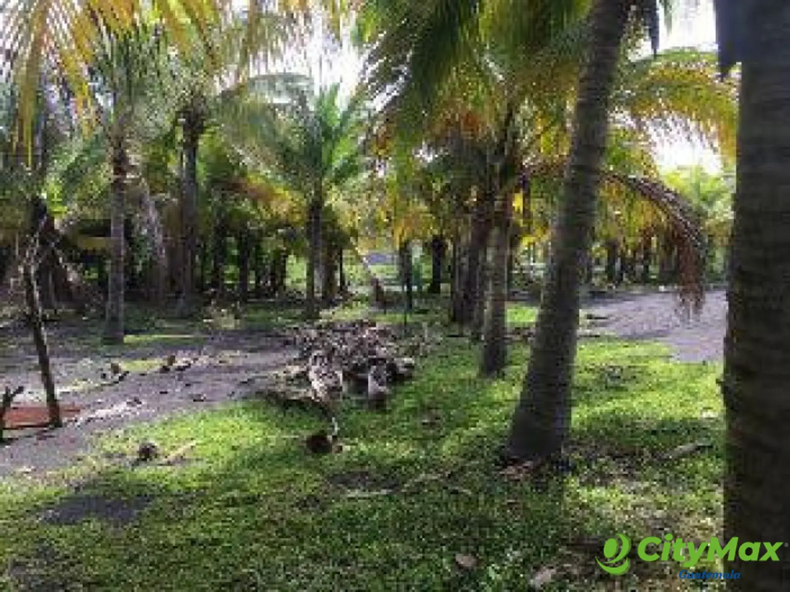 Terreno en Venta Cercano a Juan Gaviota Escuintla - foto 5