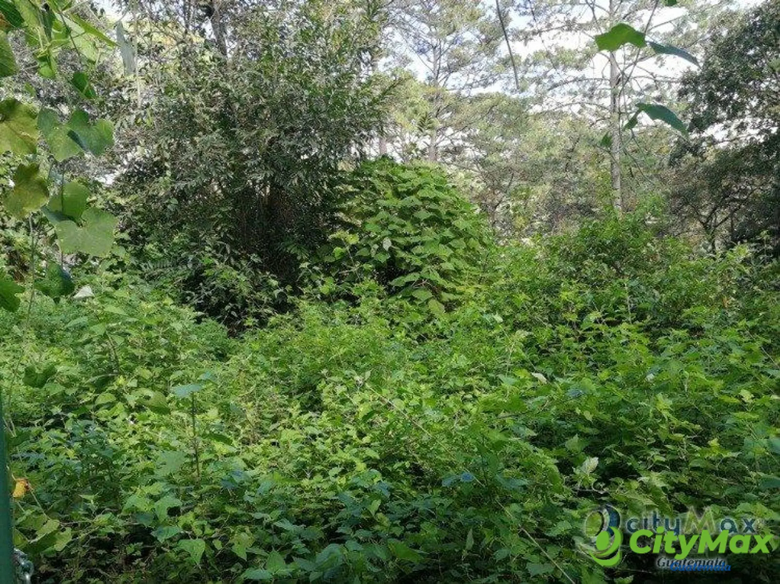 Terreno residencial en venta en Los Pinos Mixco zona 7 - foto 7