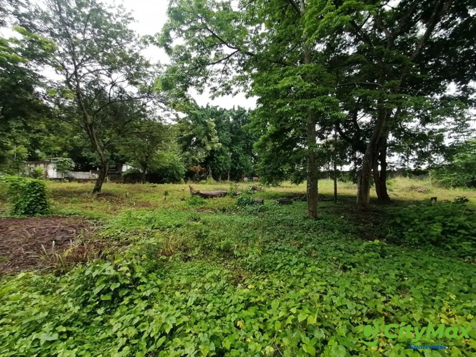 Terreno Plano en Venta Quintas Vallarta Taxisco - foto 12