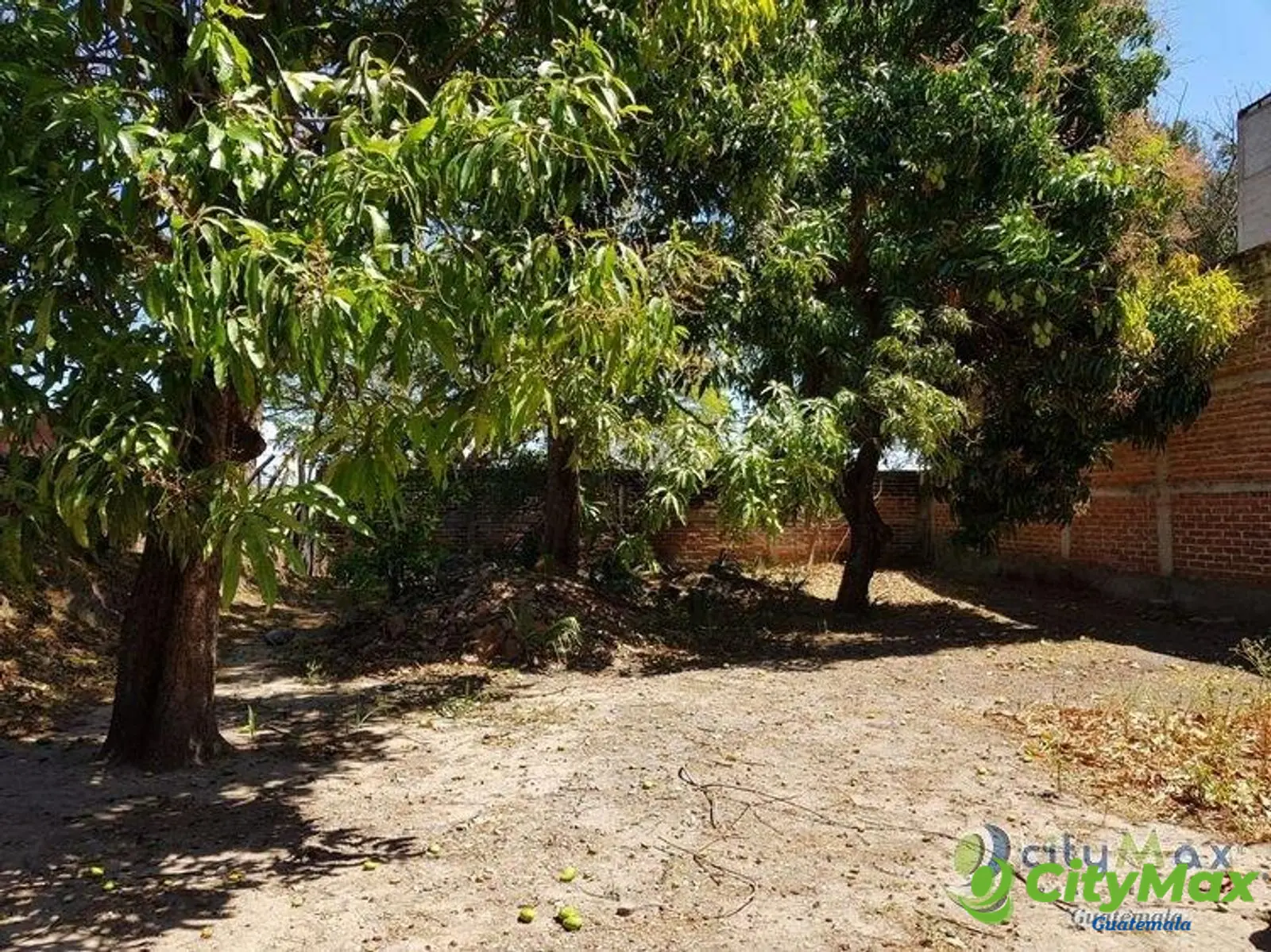 Terreno en Renta Para Inversion Asuncion Mita Jutiapa - foto 6