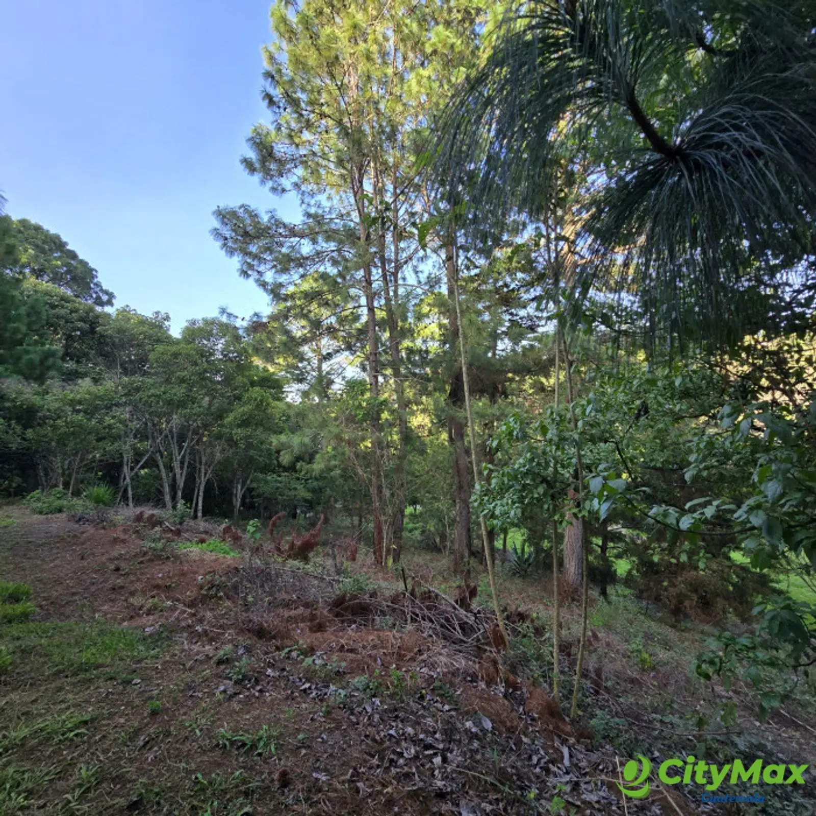 En venta Terreno residencial en zona 16 el Pulte - foto 2