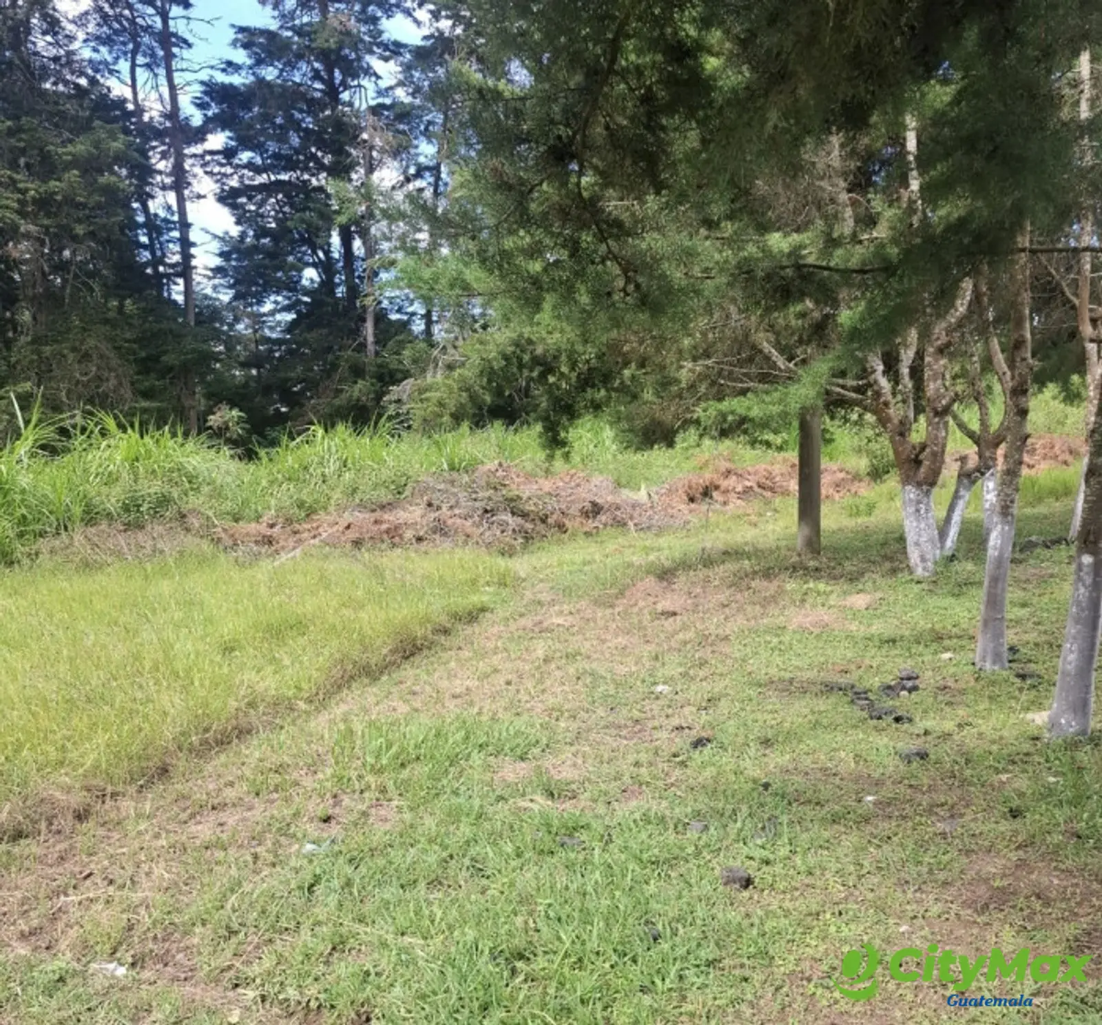 Terreno comercial renta 4586Vrs Carretera el Salvador - foto 2