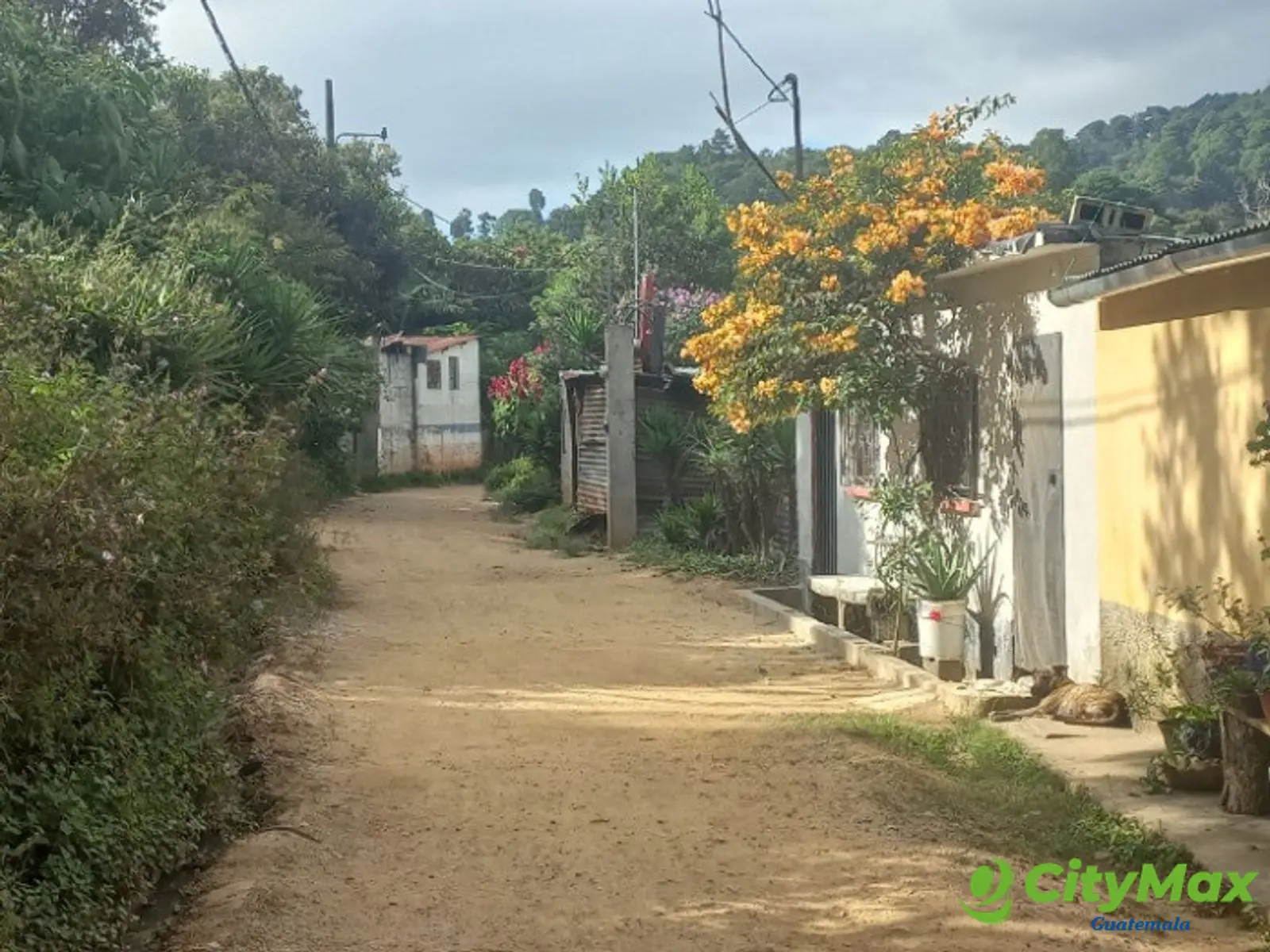 Terreno Comercial área San Pedro Ayampuc - foto 19