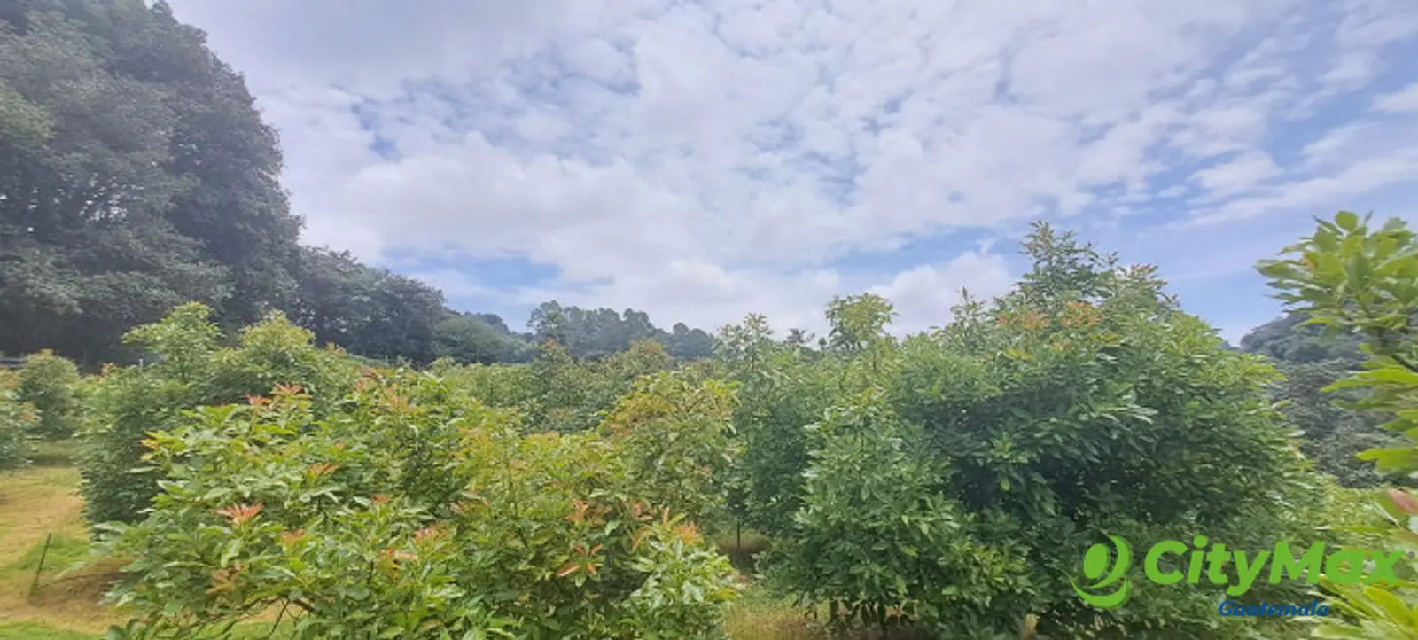 Terreno 1 manzana en venta en Santiago Sacatepequez - foto 19