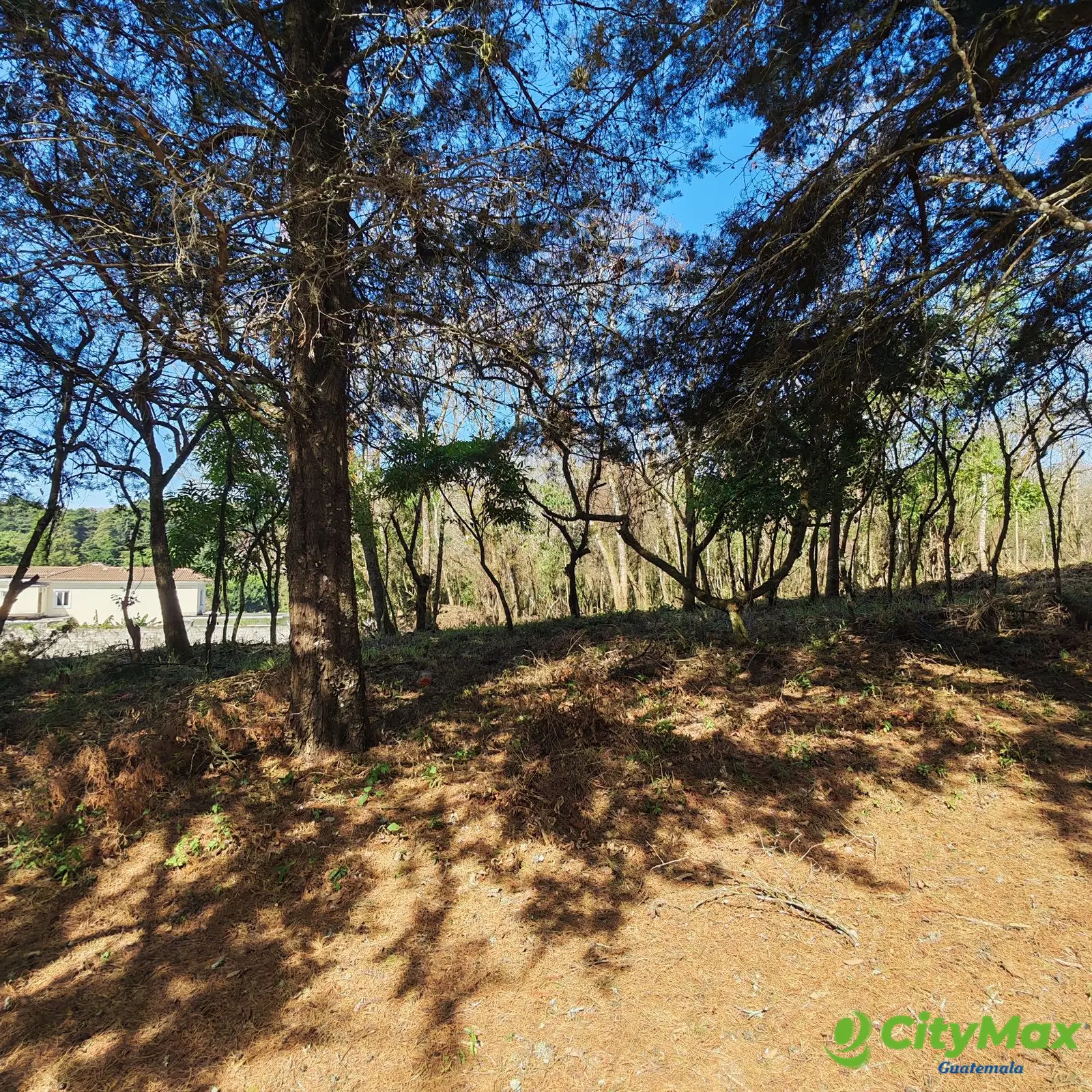 Terreno en Casa & Campo Carretera El Salvador en Venta - foto 2