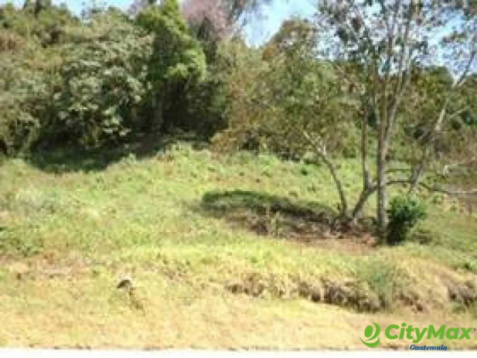 Terreno en Venta en Carretera a El Salvador km 20.5     - foto 4