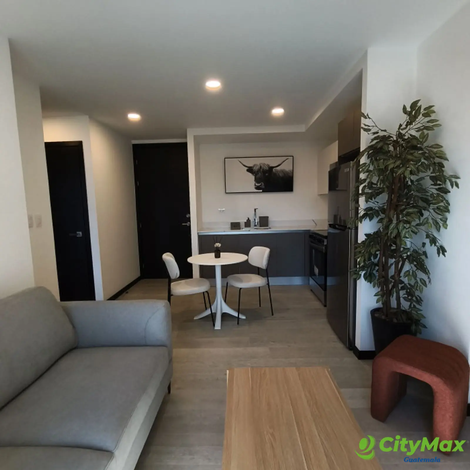 Apartamento Amueblado en Renta o Venta en Z.13 Americas - foto 8