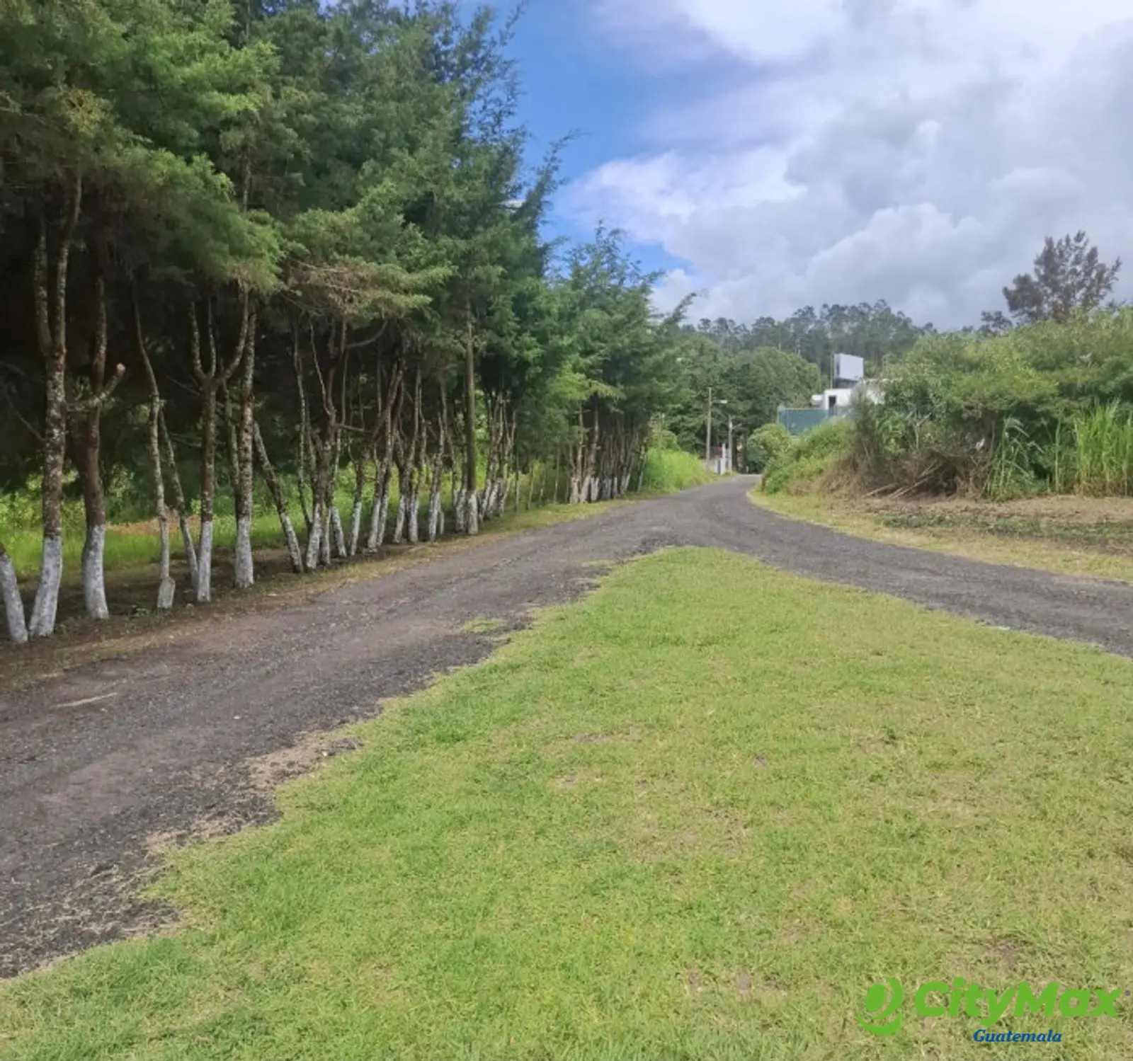 Terreno comercial renta 4586Vrs Carretera el Salvador - foto 3