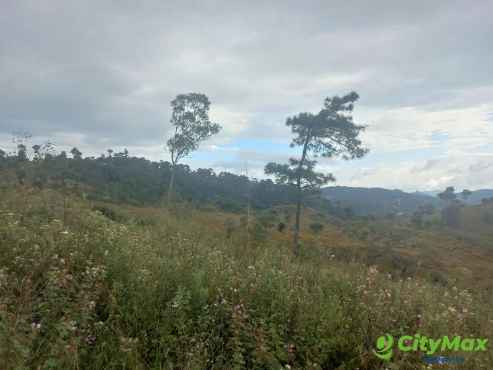 Terreno Comercial área San Pedro Ayampuc - foto 10