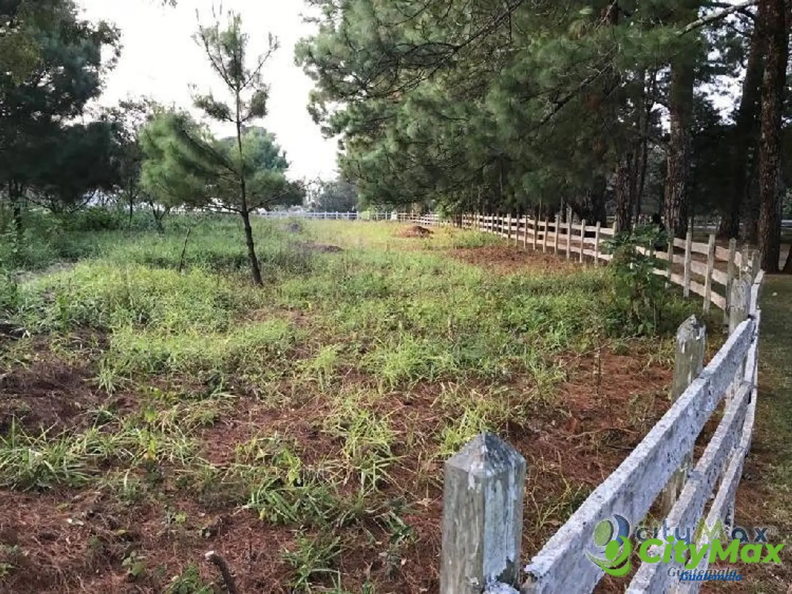 CityMax vende Terreno en Santa Elena del Lago - foto 4