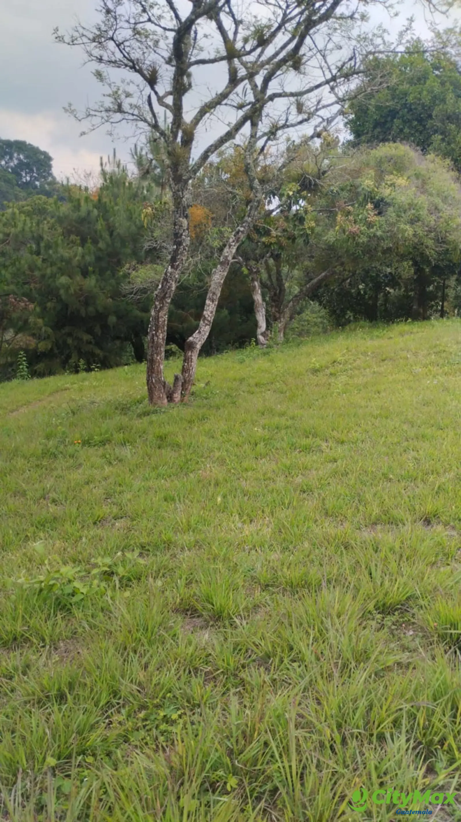 Terreno en venta Bosques de Vilaverde km 26.5 CES - foto 4