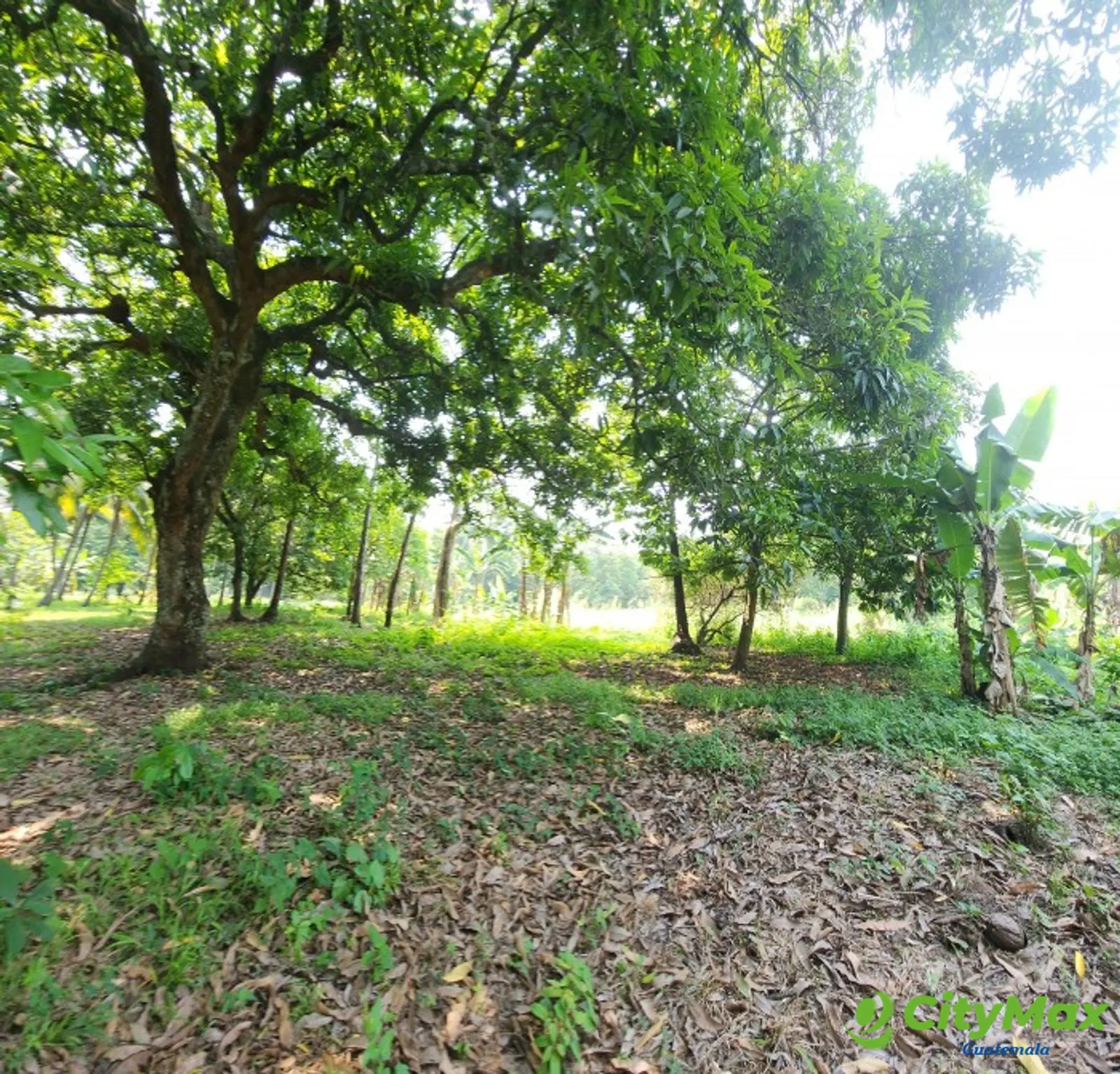 En Venta finca +40Mil Varas en el Km. 78 Ruta CA-2 - Terrenos