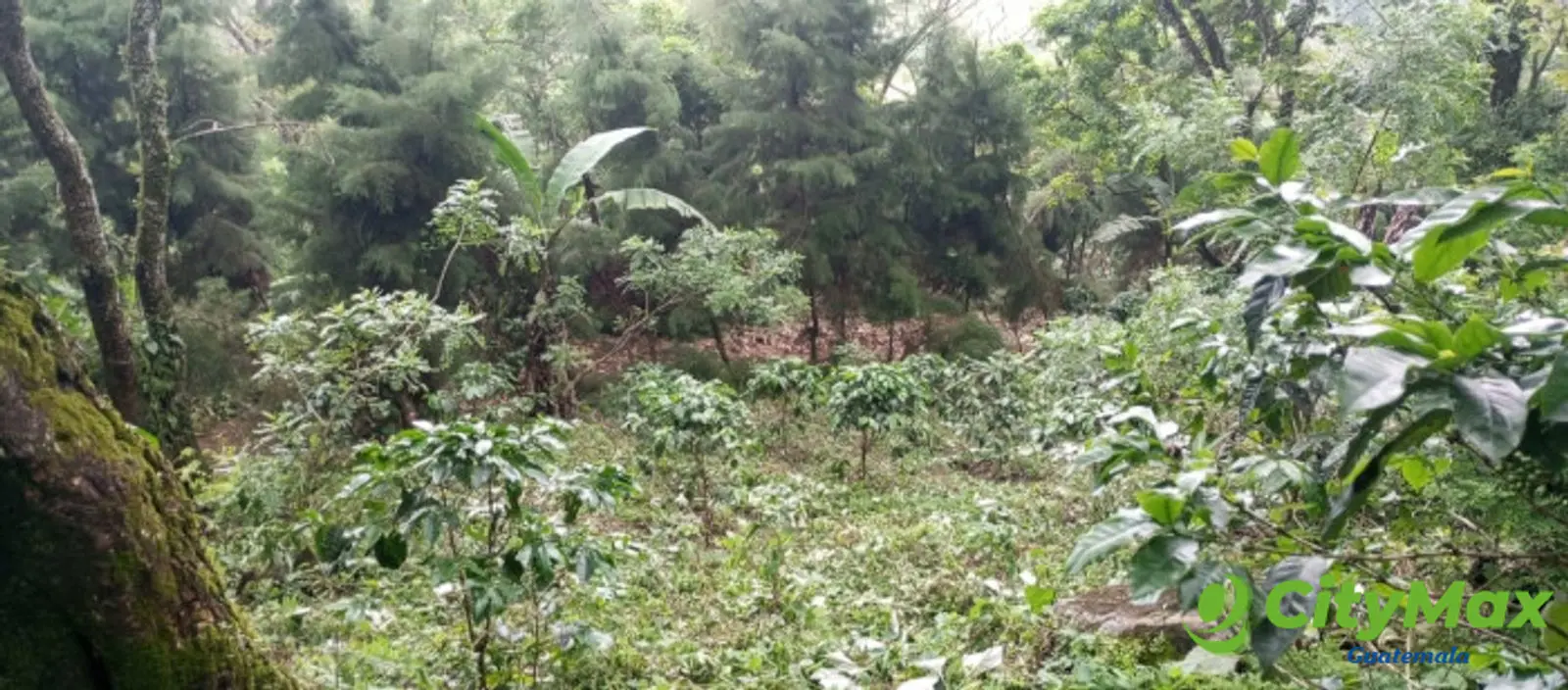 Terreno en venta para desarrollo comercial en Amatitlán - foto 12