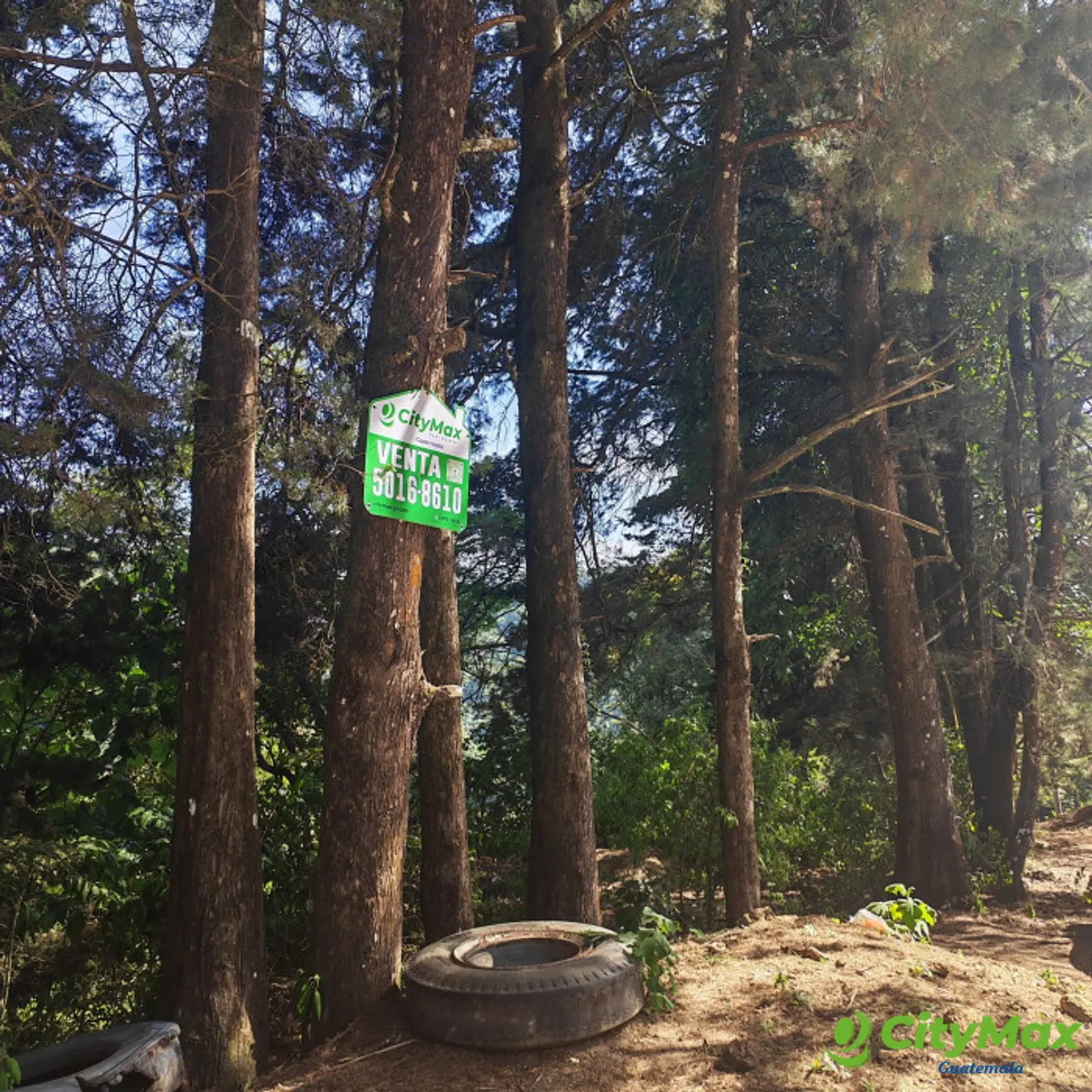 Terreno en Venta en Granja Buenos Aires - foto 10