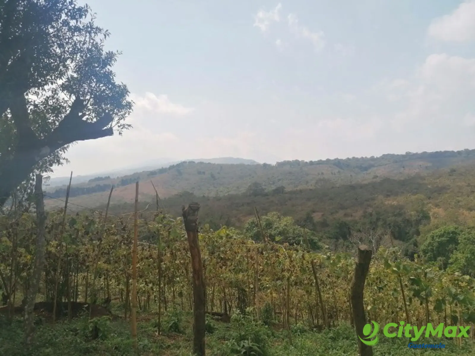 Vendo Terreno para desarrollo en Carretera El Salvador - foto 12
