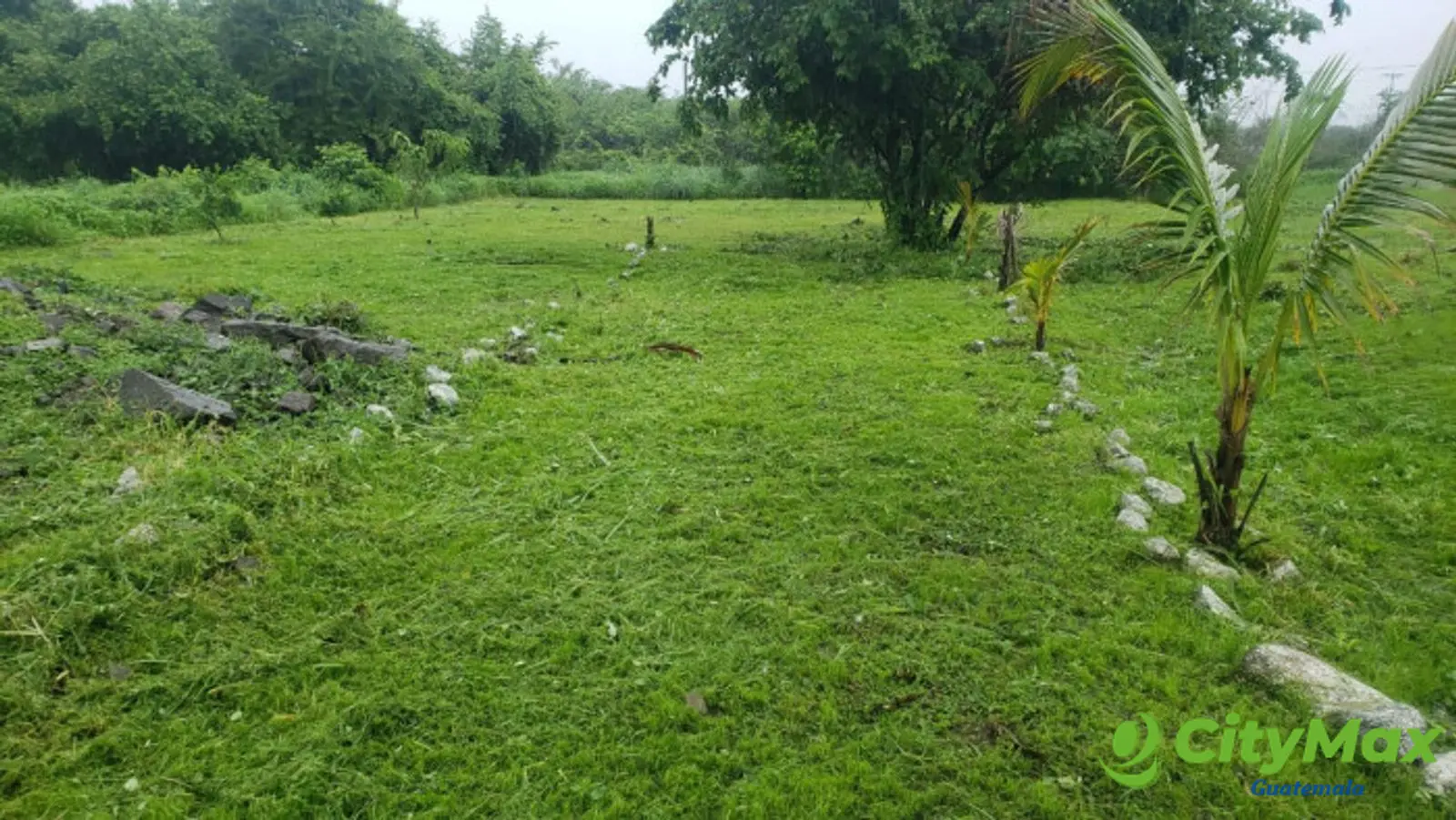 Quintas la Ponderosa lote en venta km 77 Escuintla - foto 4