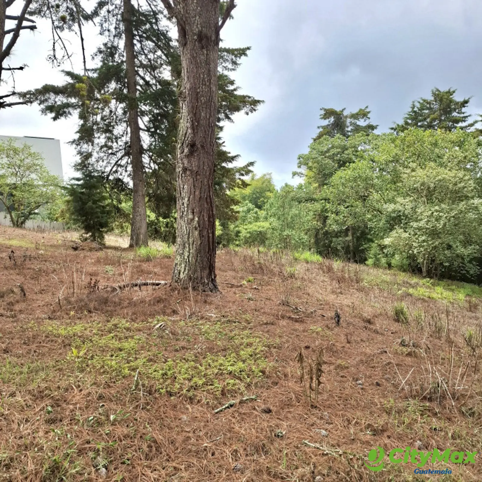 Terreno en VENTA en Zona 16 El Pulté Villa Ecuestre - foto 2