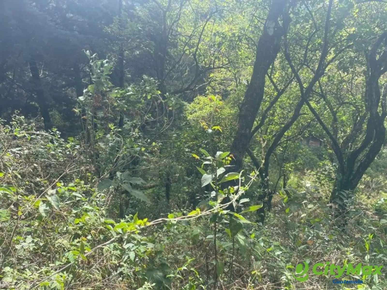 Terreno en Venta en Granja Buenos Aires - foto 11