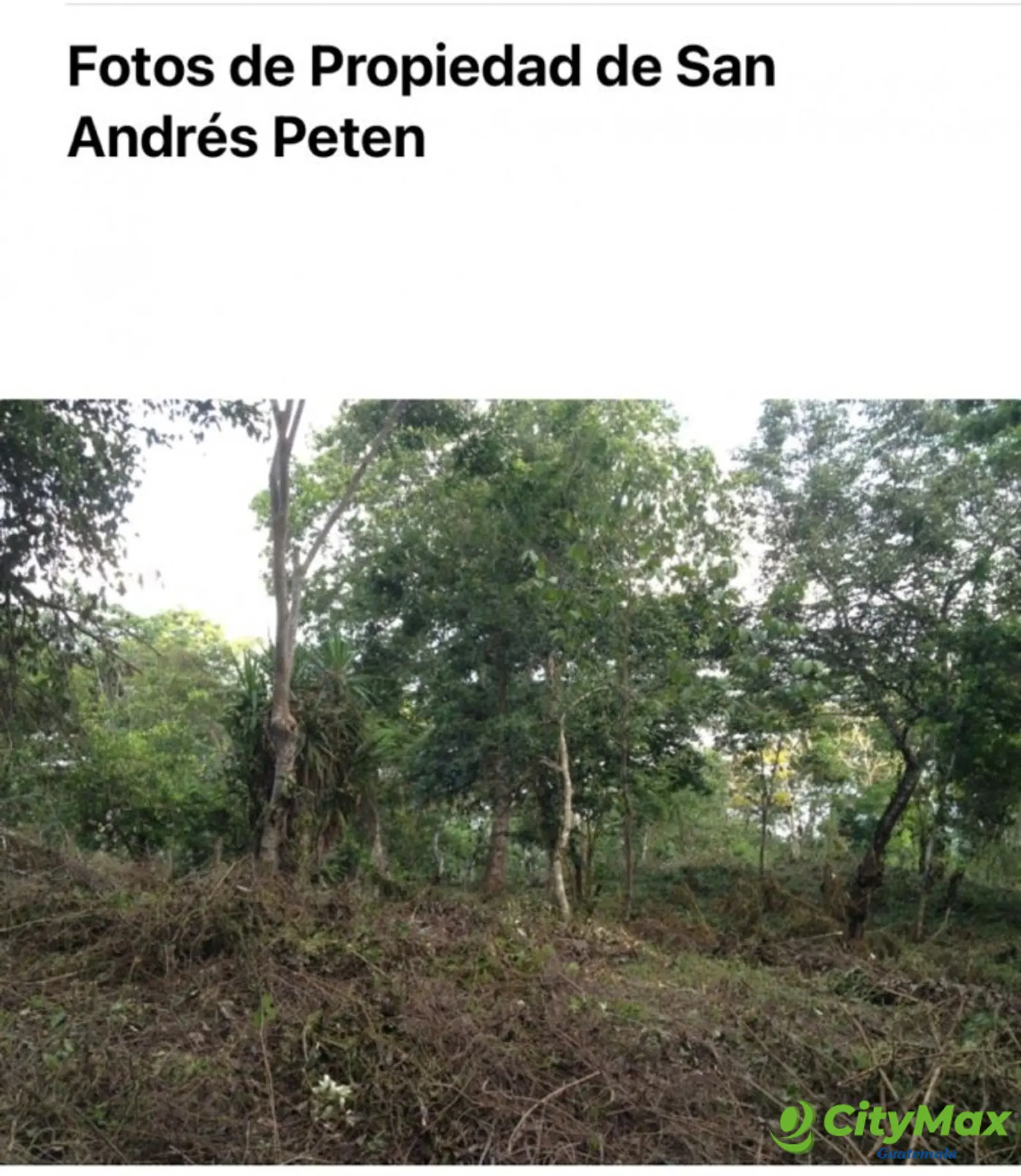 VENDO TERRENO EN SAN ANDRES PETEN - foto 6