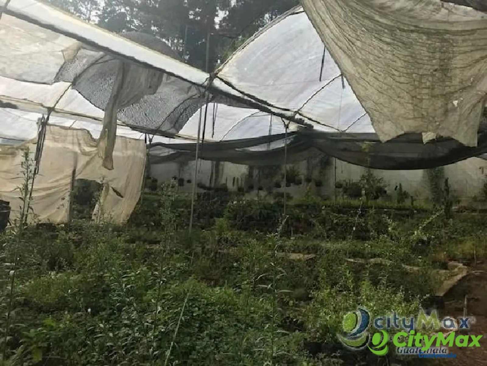 Terreno en venta para desarrollo en San José Pinula - foto 12