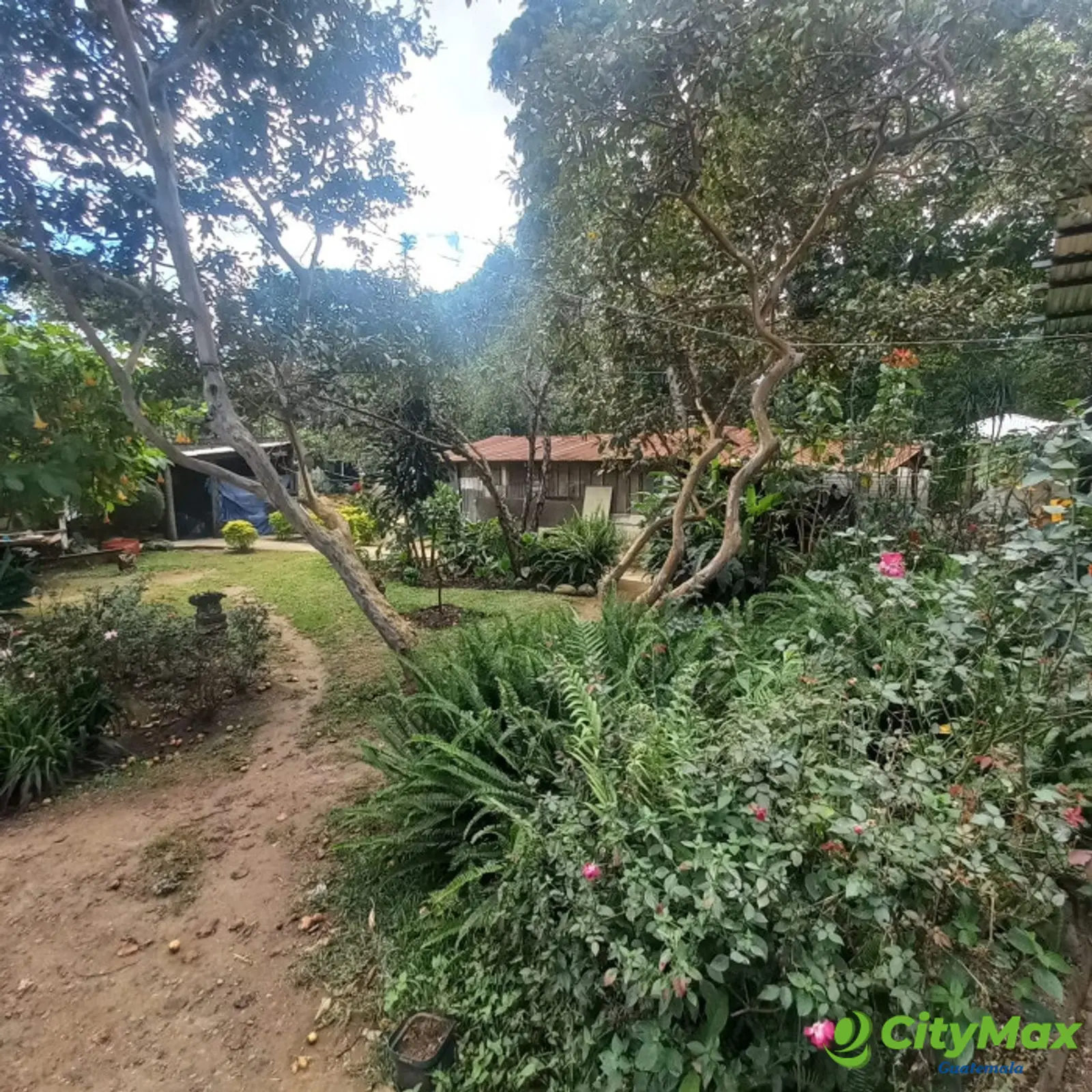 Terreno comercial en Alquiler Km. 24 CAES  - foto 16