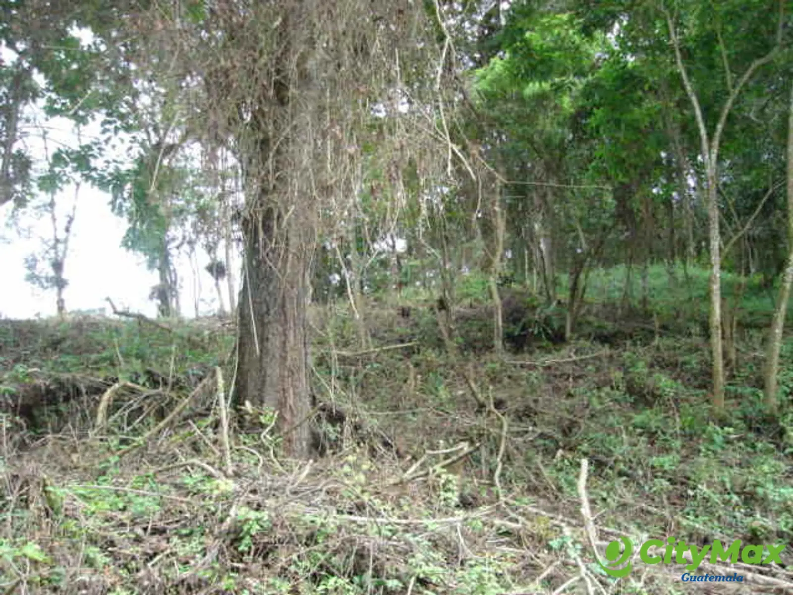 Exclusivo Terreno en venta Las Cumbres Z.16 Guatemala - foto 5
