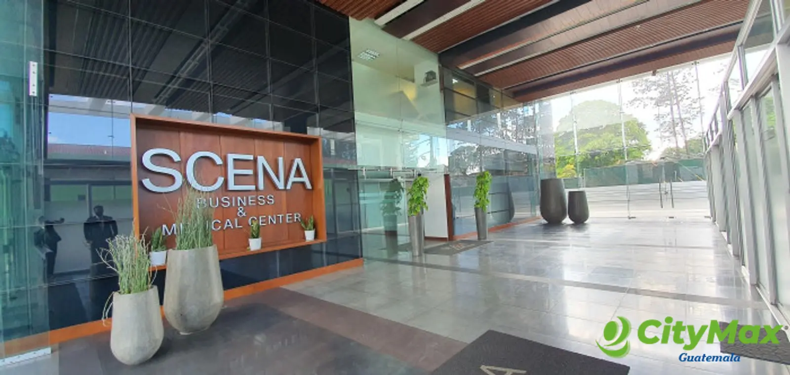 Oficina en Renta Edificio Scena  km 16.5 CAES - foto 2